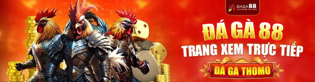 Đá gà trực tuyến VFF88 - Trải nghiệm cá cược đỉnh cao